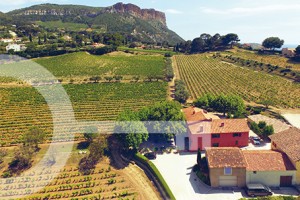 Domaine du Bagnol Vin Cassis